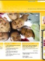 Umbrella website for Family Service and Guidance Center.